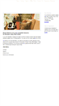 Mobile Screenshot of brucewardusa.com